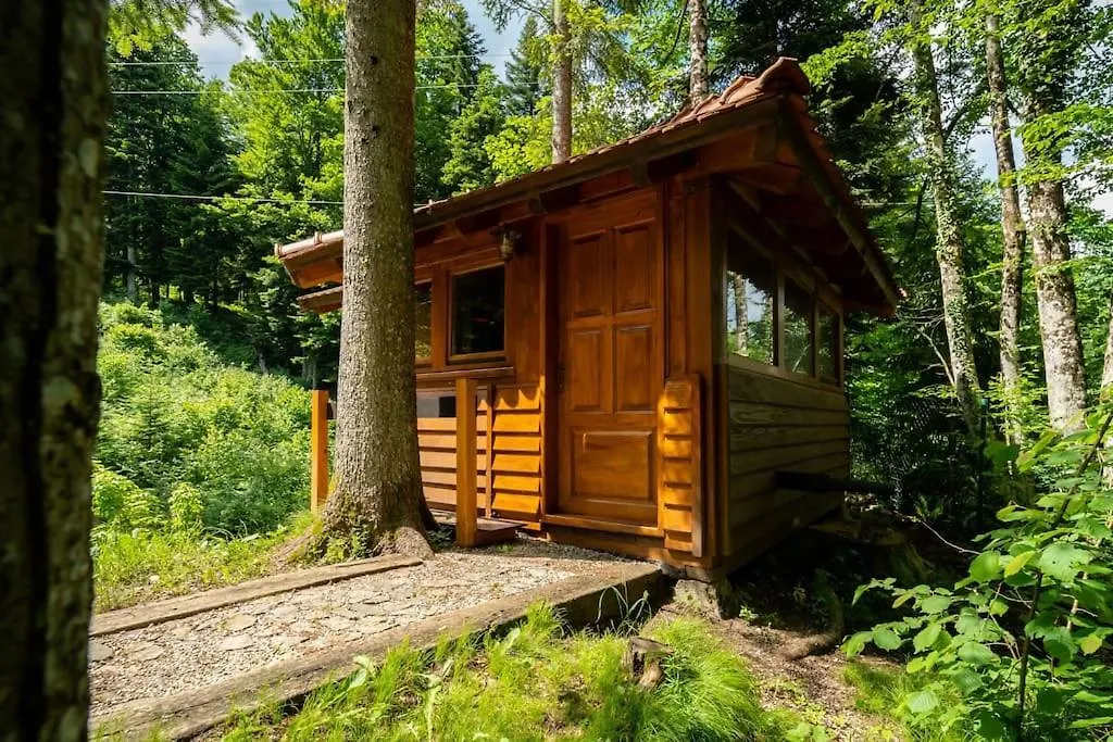 Forest Amerika - Ivcakova Koliba Croatia